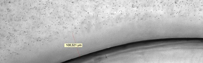 Experimental study of physicochemicalchanges in water by iterative contact with hydrophilic polymers: A comparison betweenCellulose and Nafion